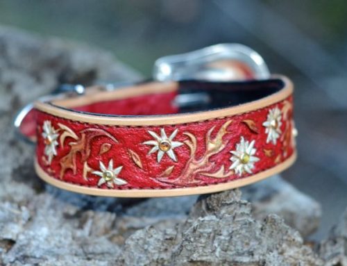 Fire Daisy Dog Collar with Swarovski Crystals