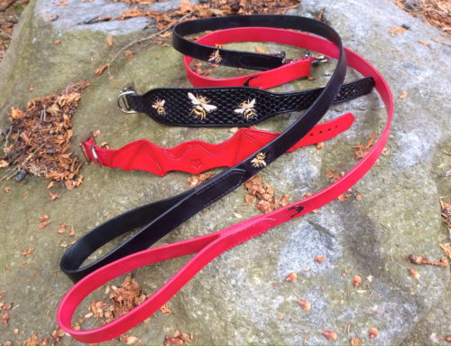 The Bats and the Bees: Dog Collar/Leash Sets