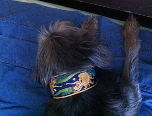 Customer Mermaid Collar