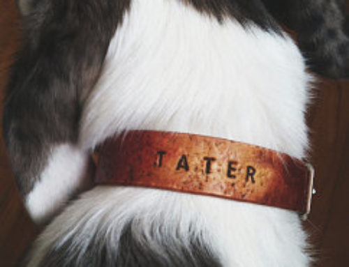 Customer Rugged Collar Tater