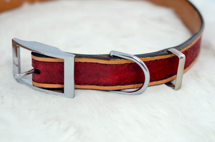 A puppy collar, featuring a keeper