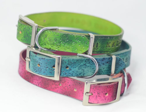 Colourful Rugged Leather Dog Collars