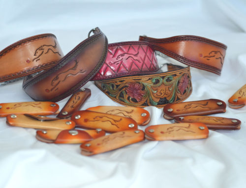 Trophies for the Saluki Club of Canada Specialty of 2015