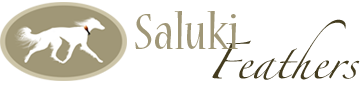 Saluki Feathers Logo